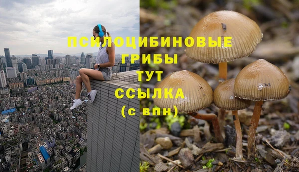 кокаин Зеленодольск