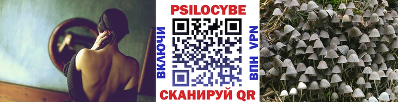 купить наркоту  Ишимбай  кракен ССЫЛКА  Псилоцибиновые грибы GOLDEN TEACHER 